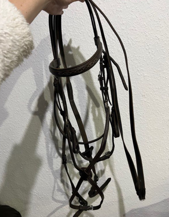 Filet / bridon cuir muserolle croisée (cheval) occasion