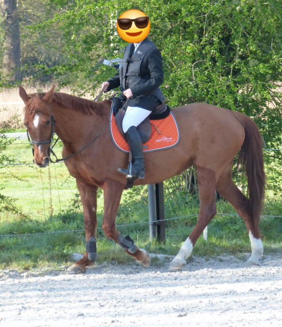 Gilet airbag Privilège Equitation (M) + 4 cartouches occasion