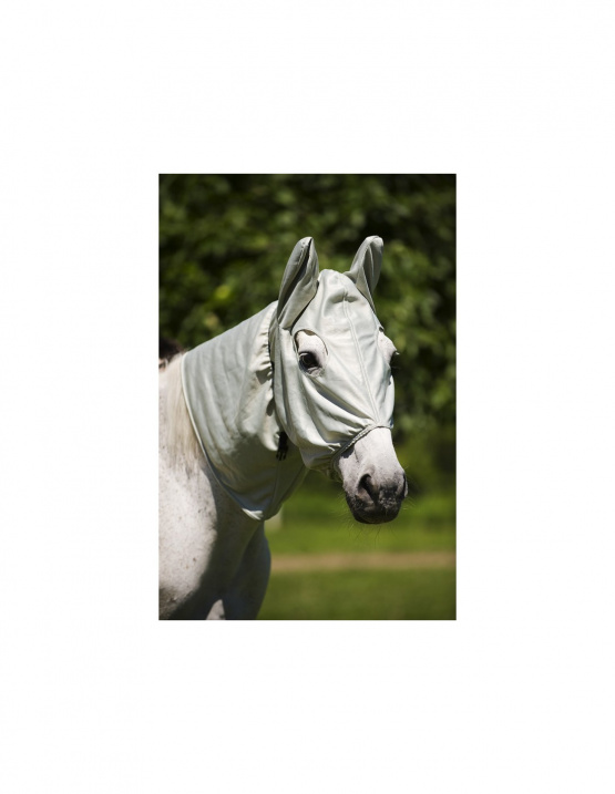 Bonnet Equithème anti-eczéma gris (cheval) neuf occasion