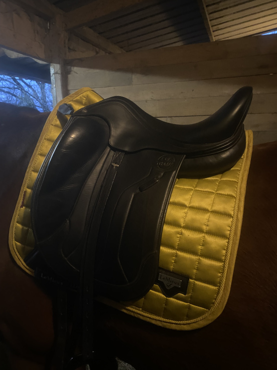 Selle de dressage Éric Thomas occasion