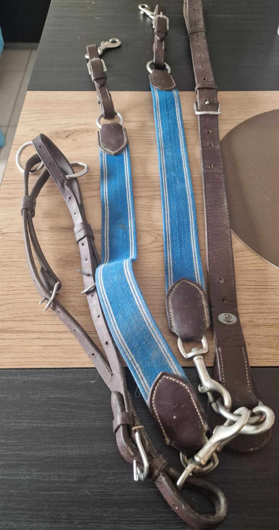 Collier de chasse martingale Privilège Équitation (cheval) occasion