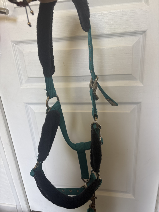 Licol Fouganza moumoute avec longe (poney) occasion