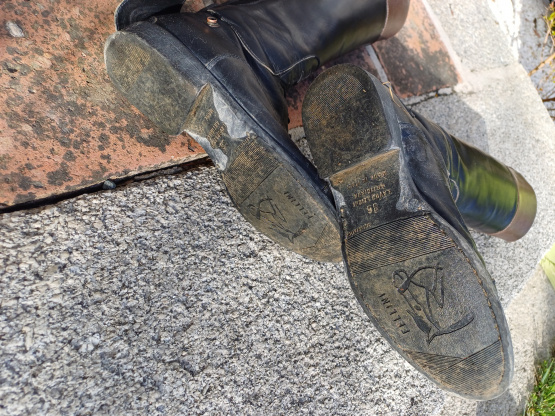 Bottes équitation Fellini T36 occasion