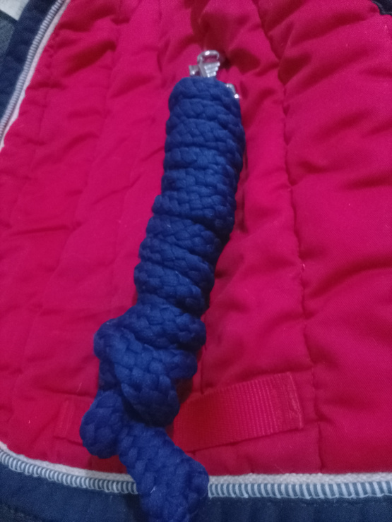 Longe équipehorse bleu (neuf) occasion