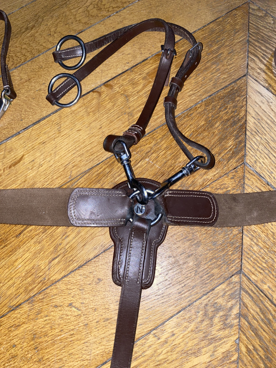 Collier de chasse et martingale Norton occasion