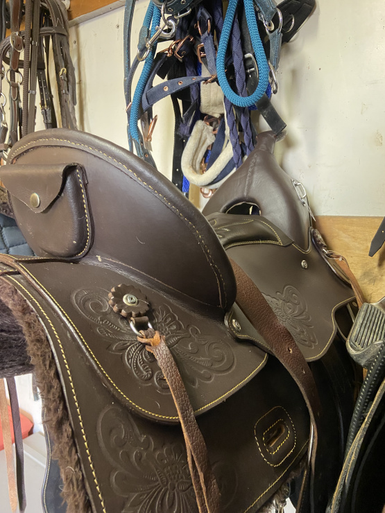 Selle Westride (2023) occasion
