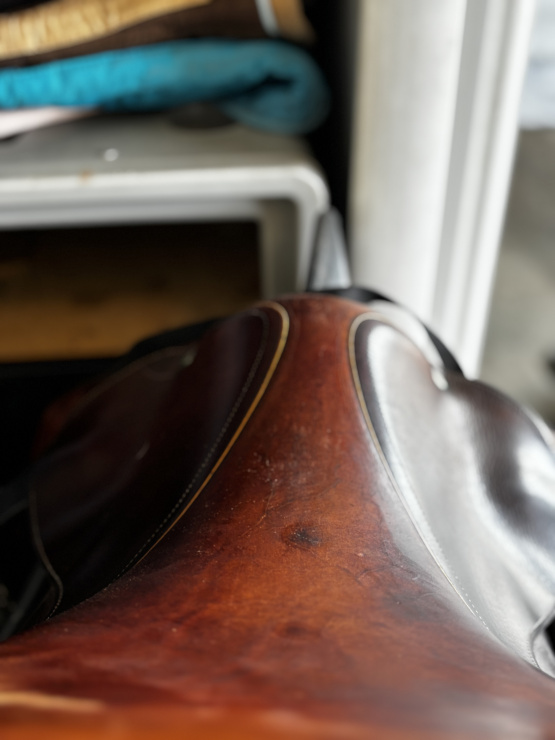 Selle mixte Childeric 17 pouces occasion