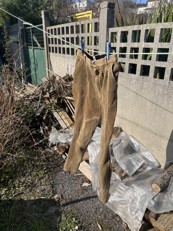 Pantalon équitation velours marron (40) occasion