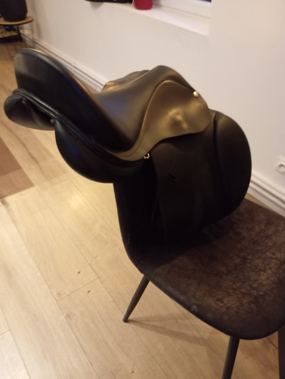 Selle mixte Eric thomas 17 pouces (2023) occasion