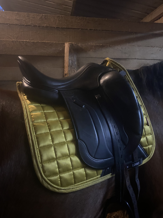 Selle de dressage Éric Thomas occasion