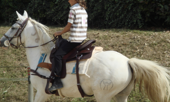 Selle Western 17 pouces (2008) occasion