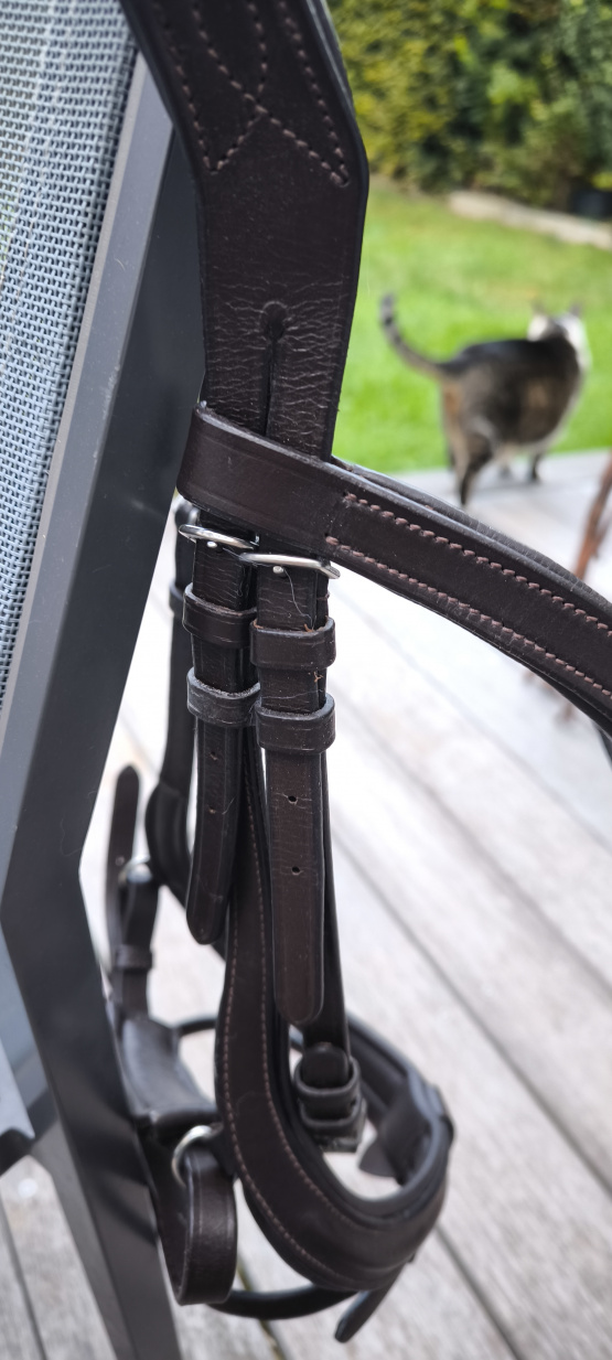 Filet HKM anatomique cuir marron (cheval) neuf occasion