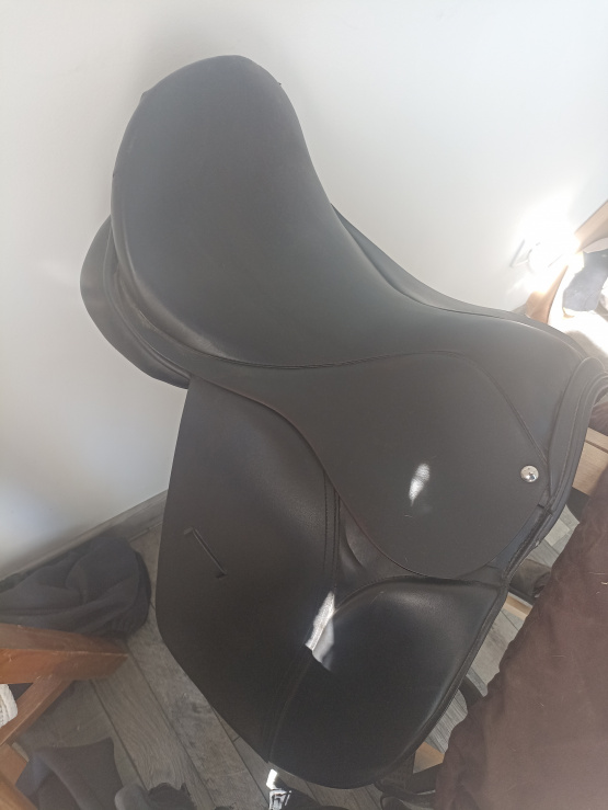 Selle New lord (2021) occasion