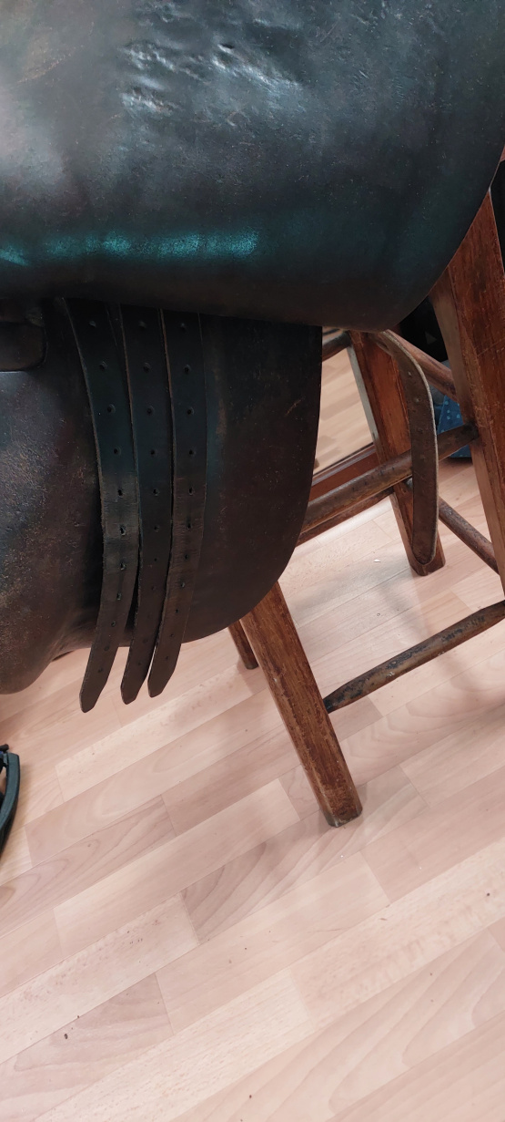 Selle Forestier Segonzac (2001) occasion