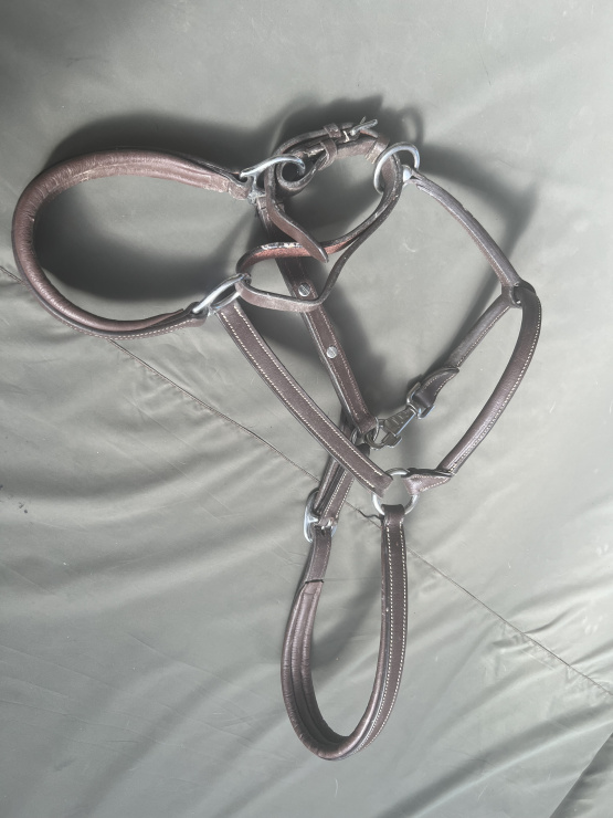 Licol Norton cuir marron (cheval) occasion
