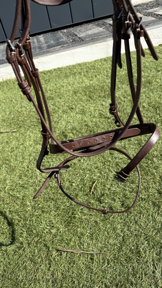 Bridon Norton cuir hanava (cheval) occasion