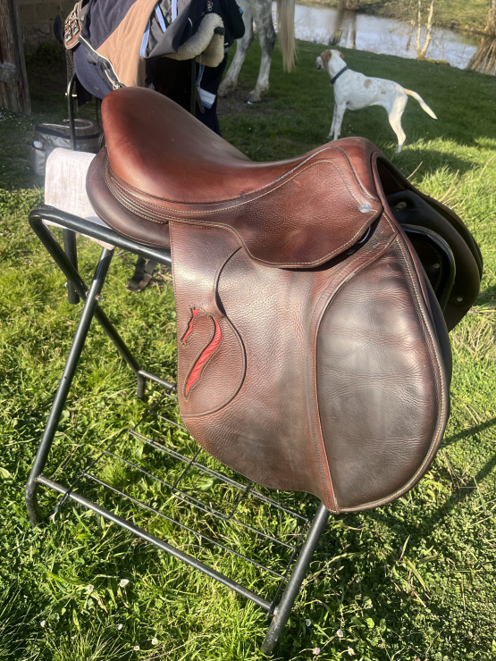 Selle obstacle Antarès Connexion 17 pouces (2019) occasion