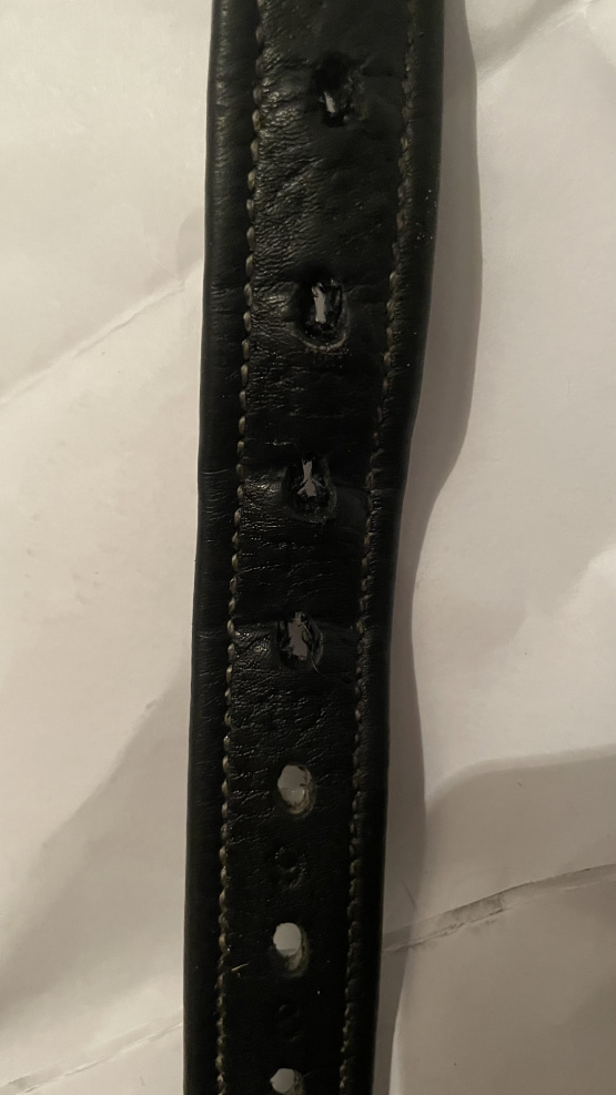 Etrivières Cavalleti occasion Etrivières Cavalleti occasion