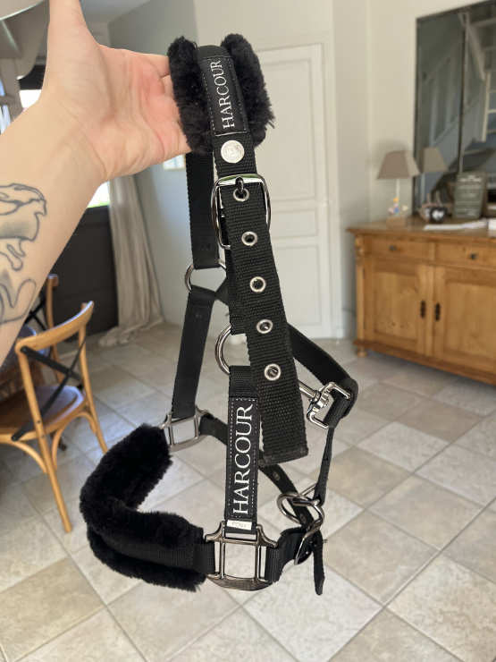 Licol Harcour noir (poney) neuf occasion