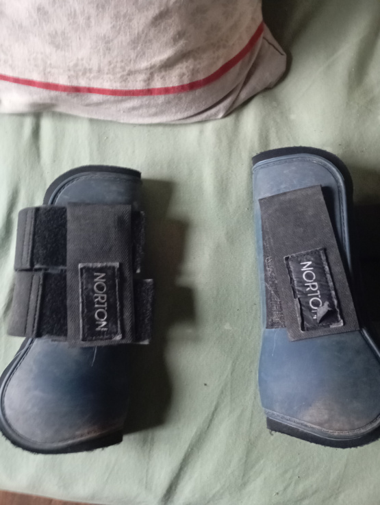 Guêtres Norton bleu (cheval) occasion