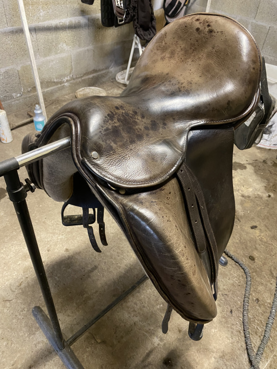 Selle anglaise dressage occasion