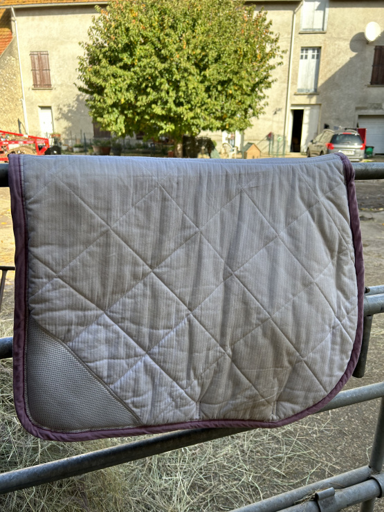 Tapis de selle Marta Morgan prune (cheval) occasion