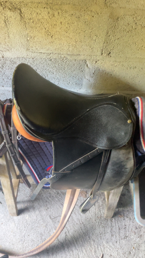 selle dressage HAF équitation occasion