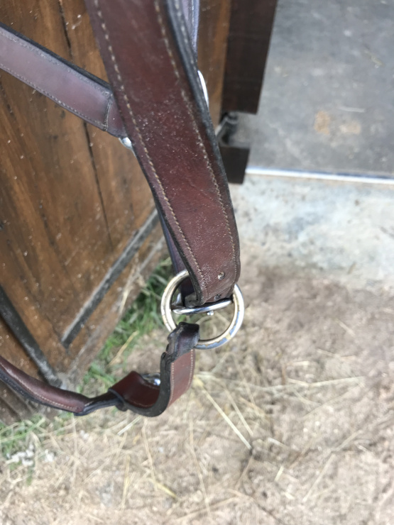 Licol Antares cuir marron (cheval) occasion