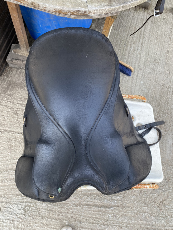 Selle dressage Wintec  Isabell Werth cair 16,5 pouces occasion