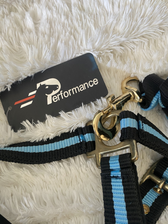 Licol et longe Performance (cheval) neuf occasion
