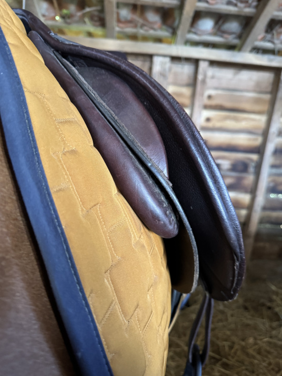 Selle mixte Privilège Equitation Lyon 17,5 pouces (2020) occasion
