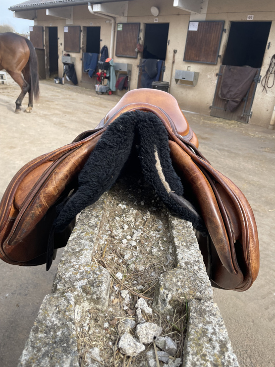 Selle obstacle Meyer 17,5 pouces (2013) occasion