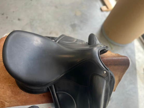 Selle dressage Arion Sellier 18 pouces (2021) occasion