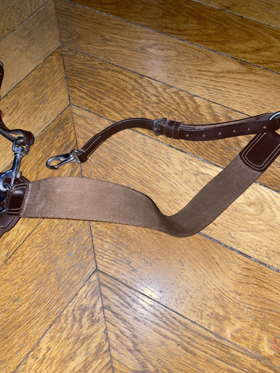 Collier de chasse et martingale Norton occasion