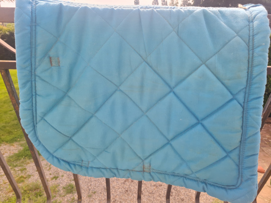Tapis Equithème bleu occasion