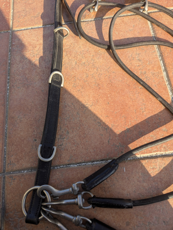 Gogue élastique et rênes noires (cheval) occasion