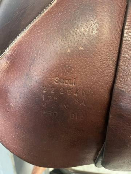 Selle obstacle Forestier Seoul 17,5 pouces (2022) occasion