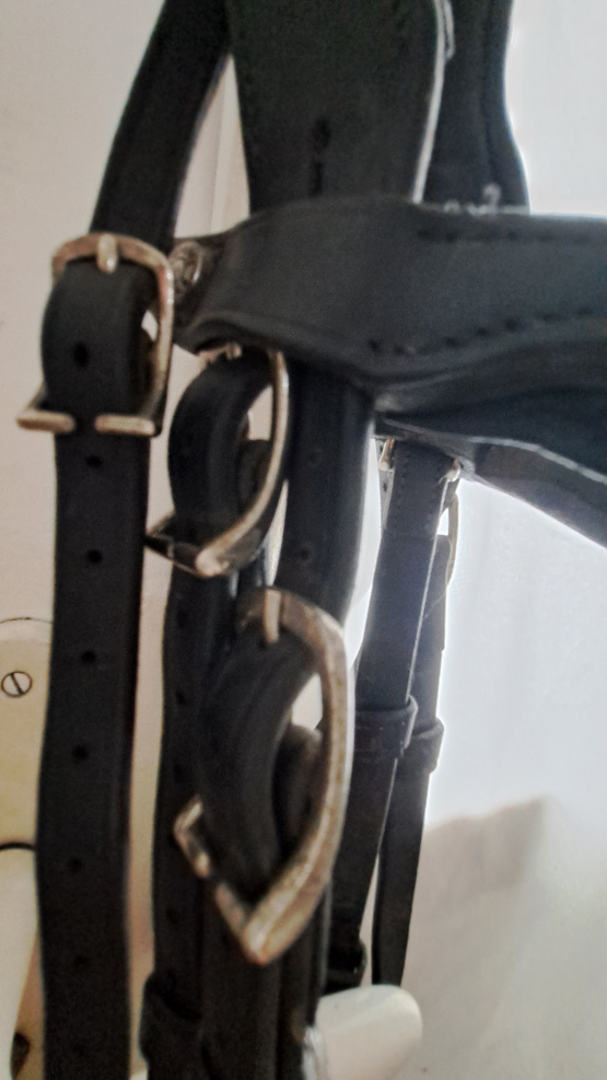 Filet Antarès occasion