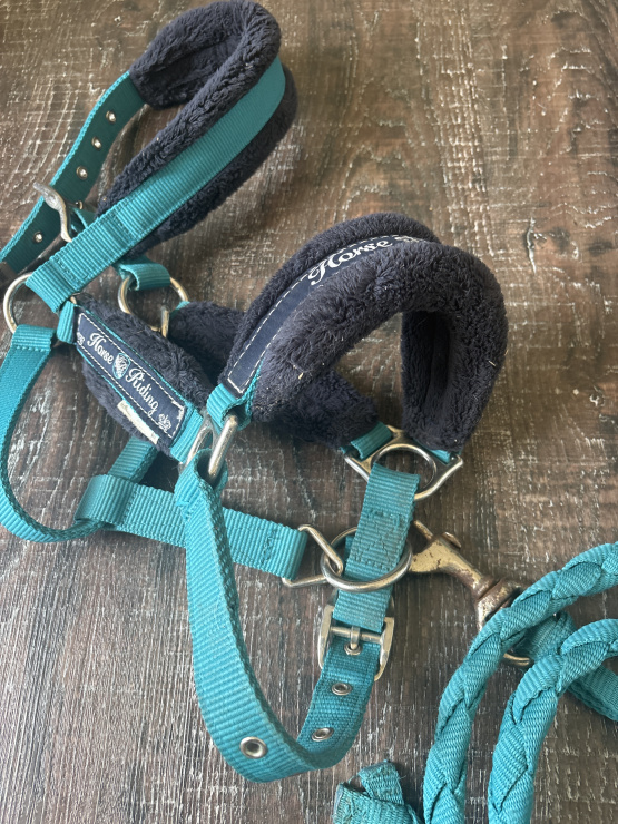 Licol Fouganza moumoute avec longe (poney) occasion