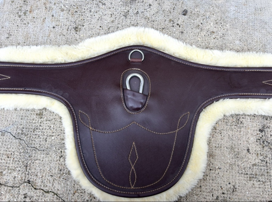 Sangle bavette Kentucky 120cm occasion