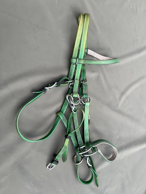 Filet / bride Norton synthétique vert (cheval) occasion