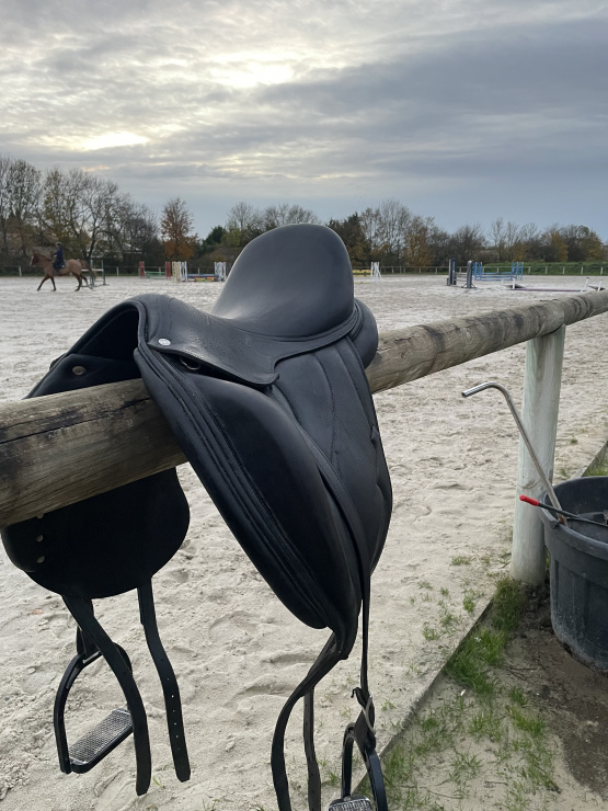 Selle dressage Antarès Cadence 16,5 pouces (2013) occasion