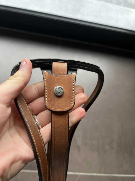 Martingale Antares (cob) neuf occasion