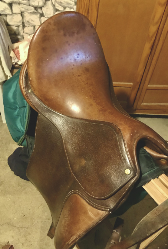 Selle dressage Delgrange 17,5 pouces occasion