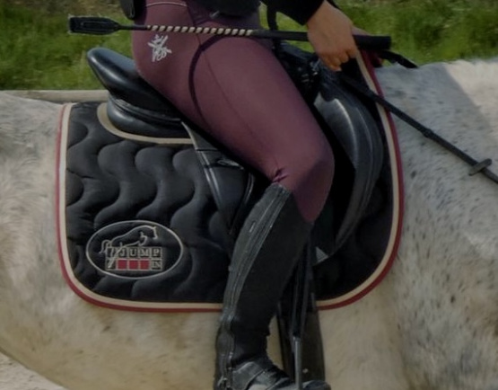 Tapis de selle Jump'in noir et bordeaux (cheval) occasion