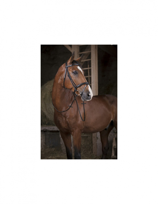 Rênes caoutchouc Norton pro noir (poney) neuf occasion