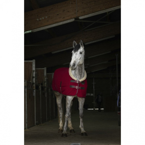 Chemise polaire Equithème Teddy bordeaux 145 cm (neuf) occasion