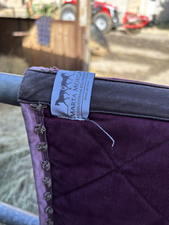 Tapis de selle Marta Morgan prune (cheval) occasion
