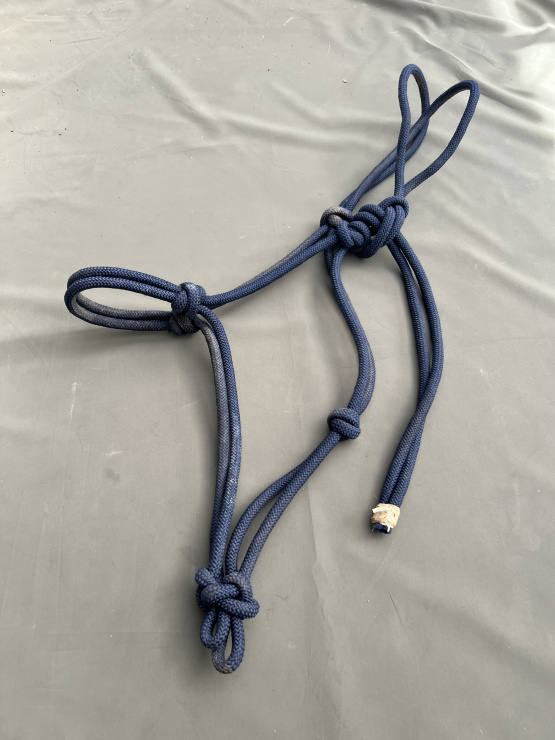 Licol éthologique bleu marine (cheval) occasion