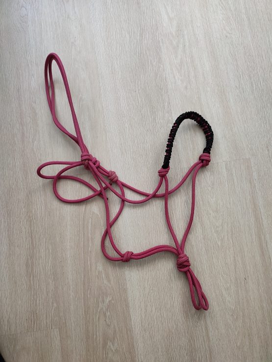Licol éthologique en corde occasion